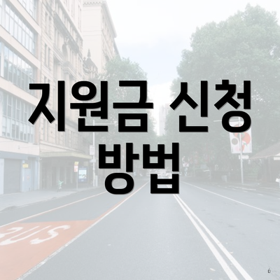 지원금 신청 방법