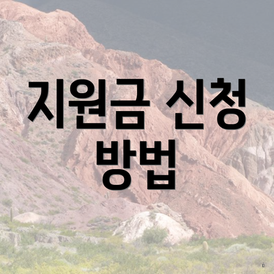 지원금 신청 방법