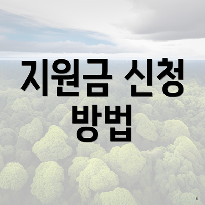 지원금 신청 방법