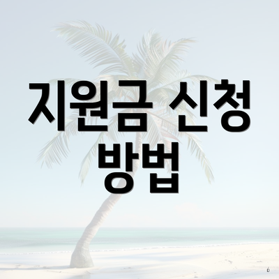 지원금 신청 방법