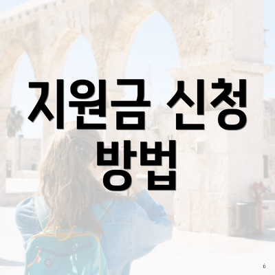 지원금 신청 방법