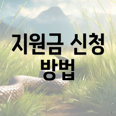 지원금 신청 방법