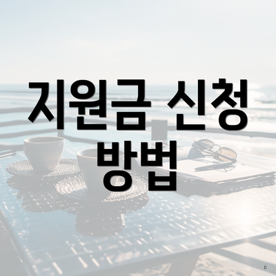 지원금 신청 방법