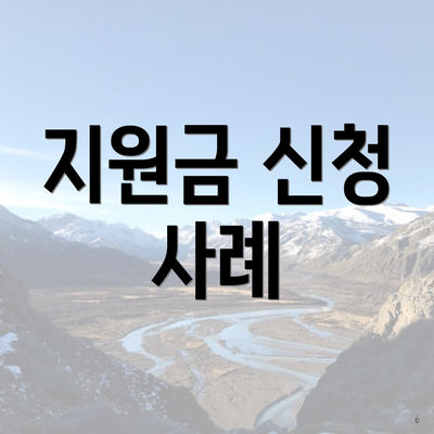 지원금 신청 사례