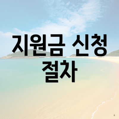 지원금 신청 절차