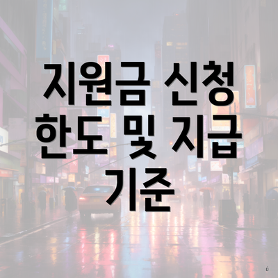 지원금 신청 한도 및 지급 기준