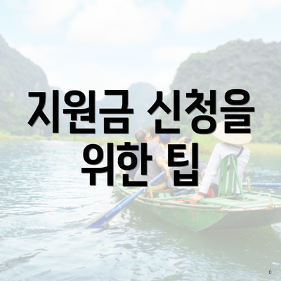 지원금 신청을 위한 팁