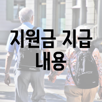 지원금 지급 내용