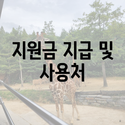 지원금 지급 및 사용처