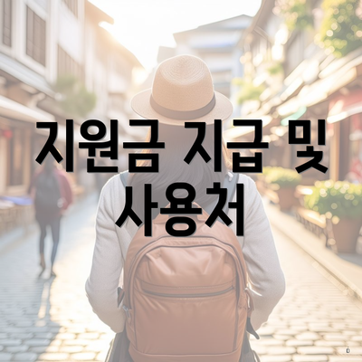 지원금 지급 및 사용처