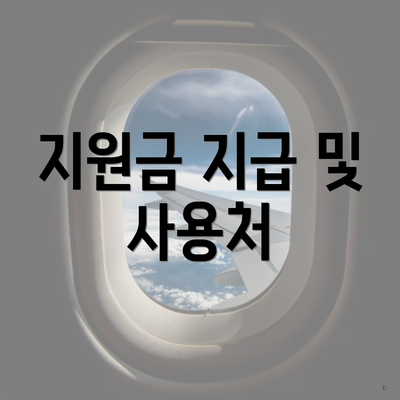 지원금 지급 및 사용처