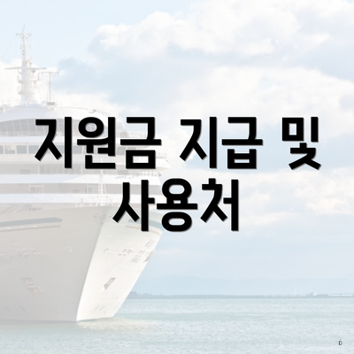 지원금 지급 및 사용처