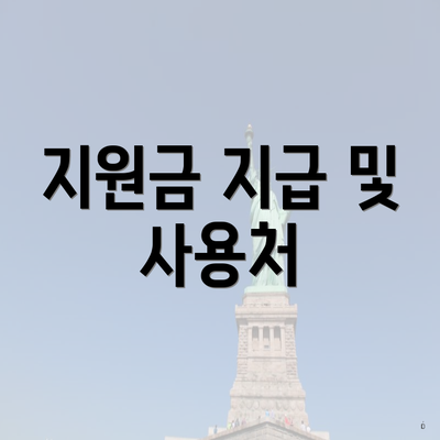 지원금 지급 및 사용처