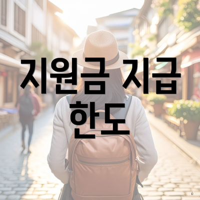 지원금 지급 한도