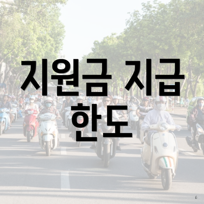 지원금 지급 한도