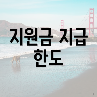 지원금 지급 한도