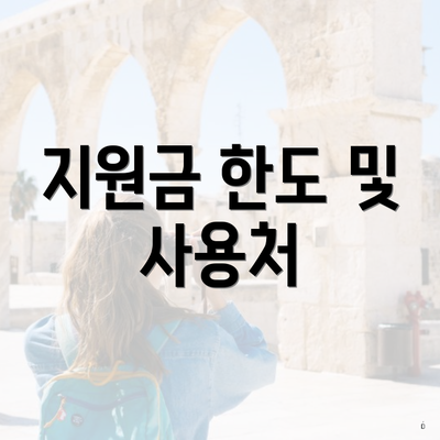 지원금 한도 및 사용처