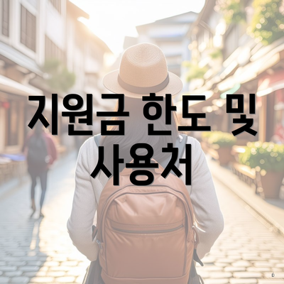 지원금 한도 및 사용처