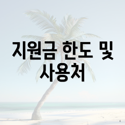 지원금 한도 및 사용처