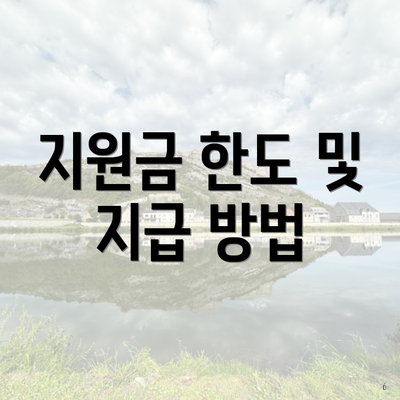 지원금 한도 및 지급 방법