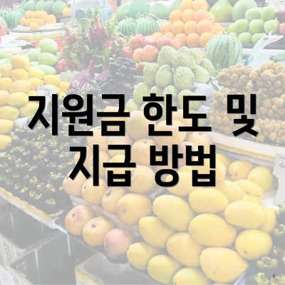 지원금 한도 및 지급 방법