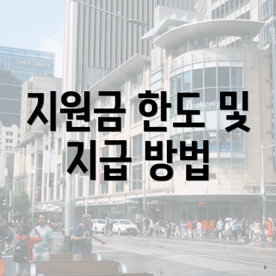 지원금 한도 및 지급 방법