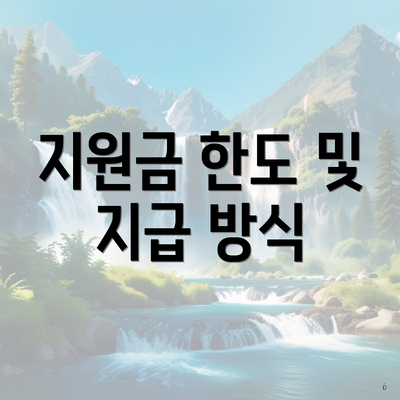 지원금 한도 및 지급 방식