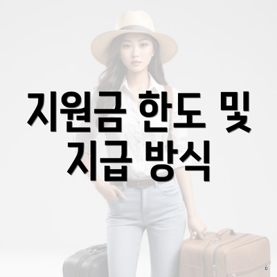 지원금 한도 및 지급 방식