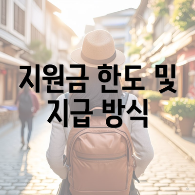 지원금 한도 및 지급 방식