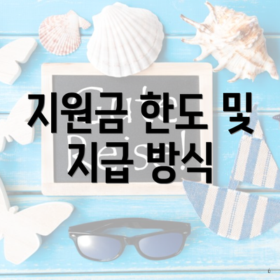 지원금 한도 및 지급 방식