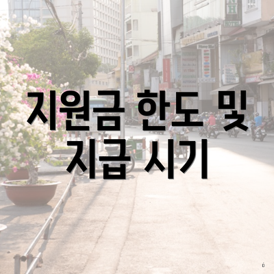 지원금 한도 및 지급 시기