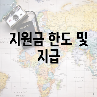 지원금 한도 및 지급