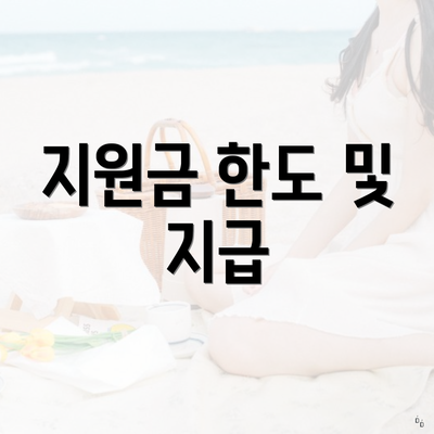 지원금 한도 및 지급