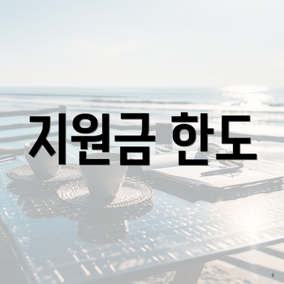 지원금 한도