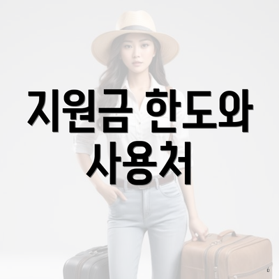 지원금 한도와 사용처