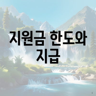 지원금 한도와 지급