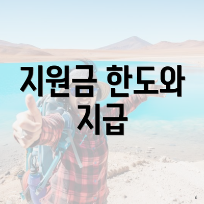 지원금 한도와 지급