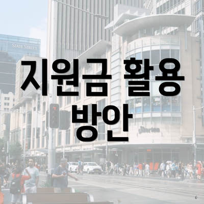 지원금 활용 방안