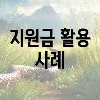 지원금 활용 사례