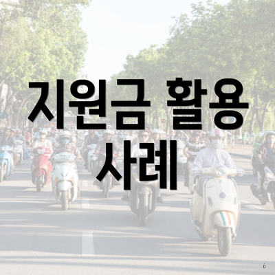 지원금 활용 사례