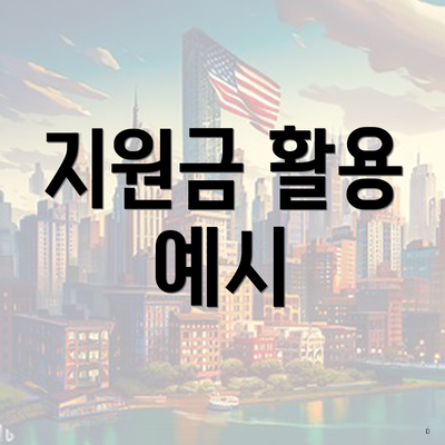 지원금 활용 예시