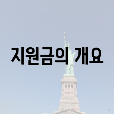 지원금의 개요