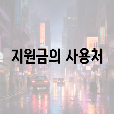 지원금의 사용처