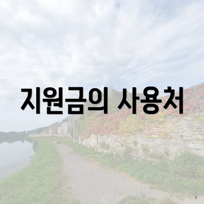 지원금의 사용처