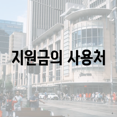 지원금의 사용처