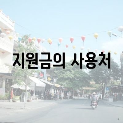 지원금의 사용처