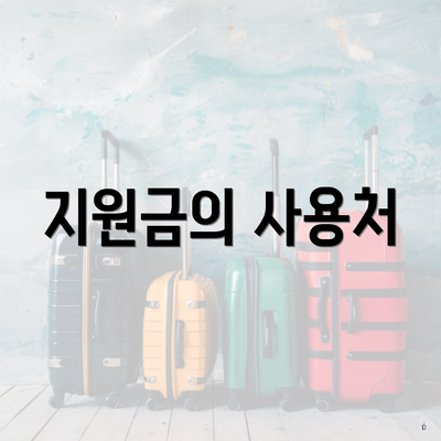 지원금의 사용처