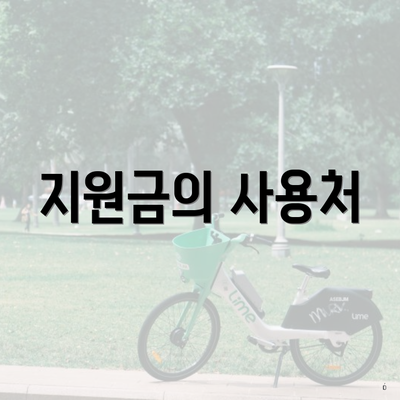 지원금의 사용처