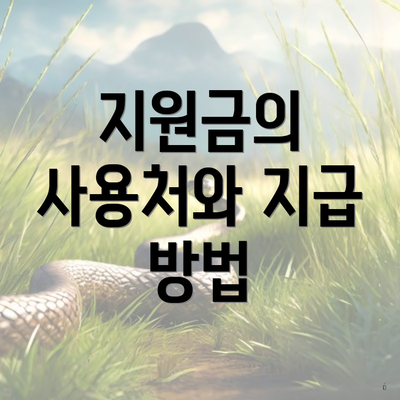 지원금의 사용처와 지급 방법