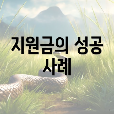 지원금의 성공 사례